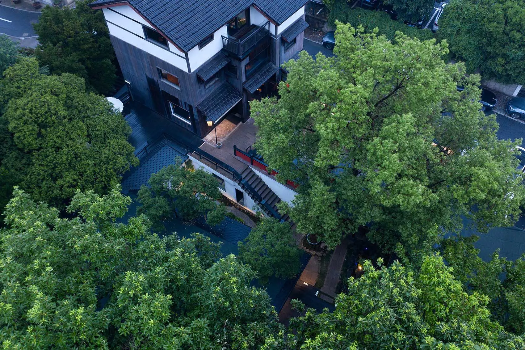 A modern house with a black roof and white walls, surrounded by potted plants and two parked cars in a residential setting