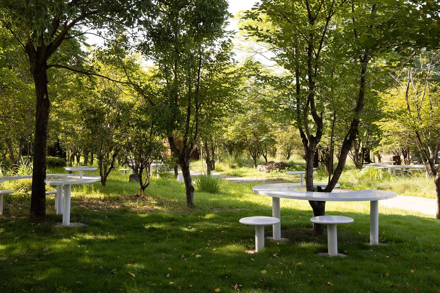 公園區域內草地上擺放數張木製長椅，四周環繞綠意