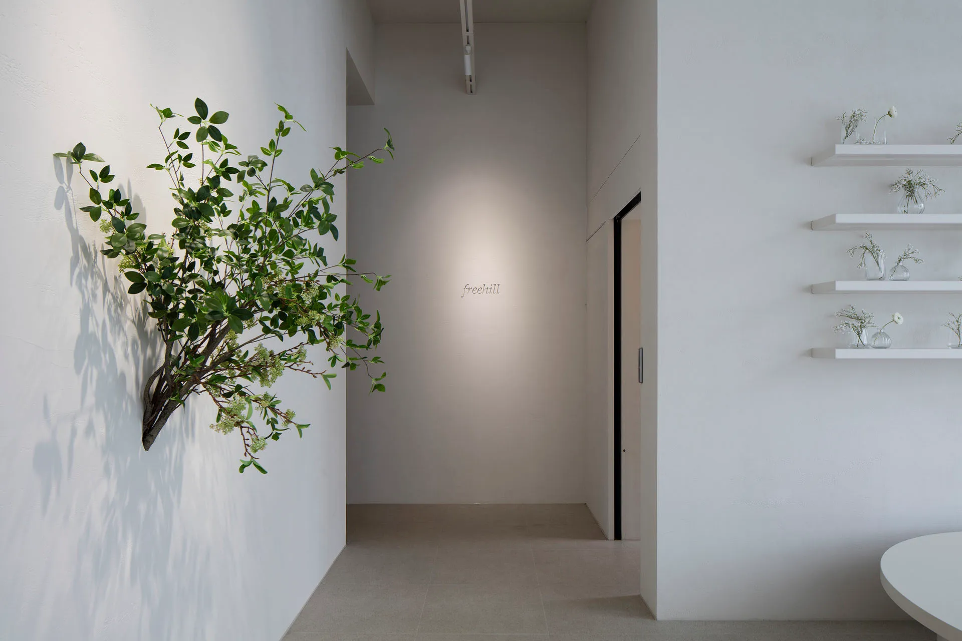 A calm and serene empty hallway with white walls, a tiled floor, and two potted plants on either side
