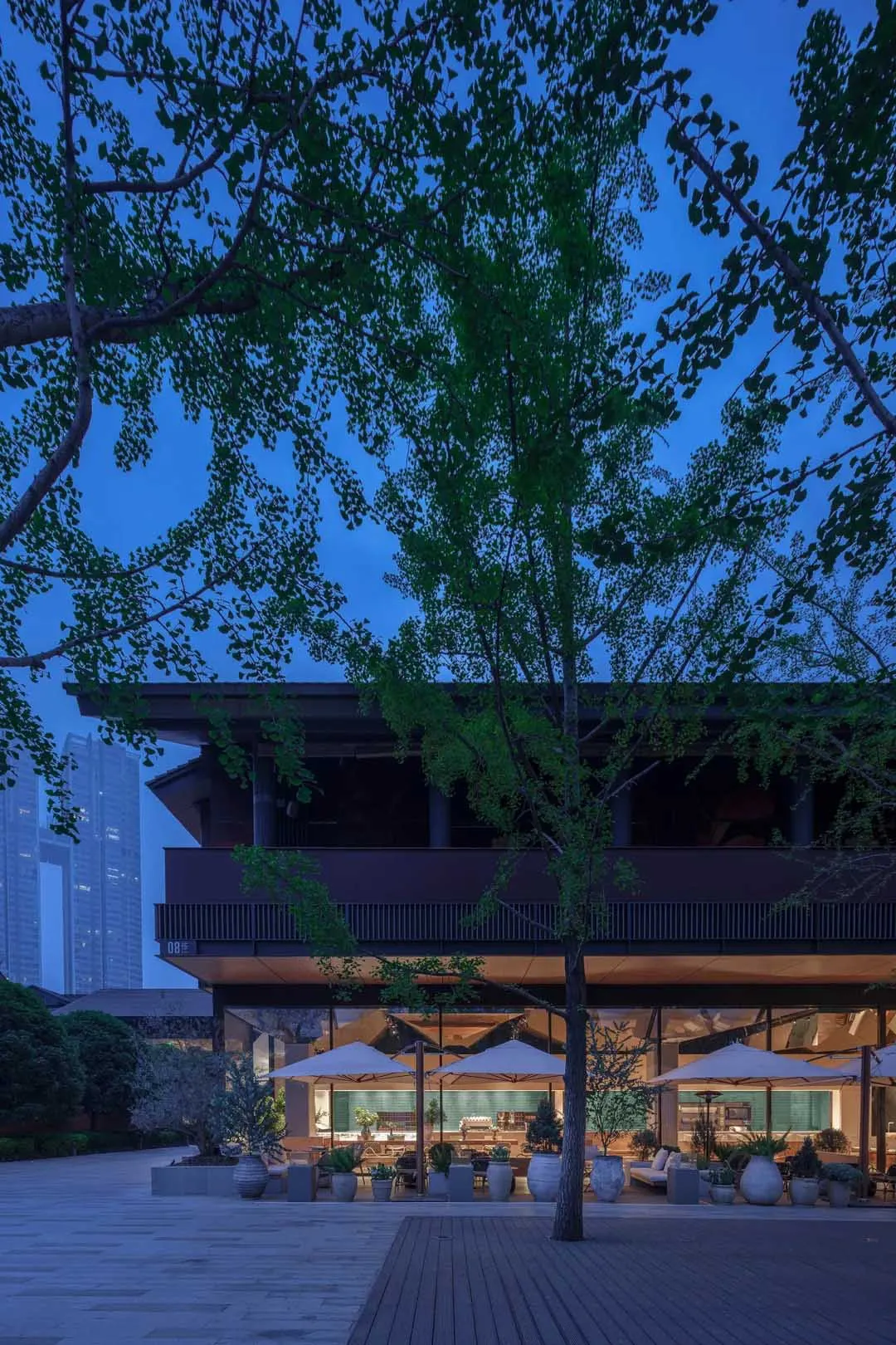 A wooden building at night with a large tree in front, surrounded by umbrellas, creating a relaxing atmosphere
