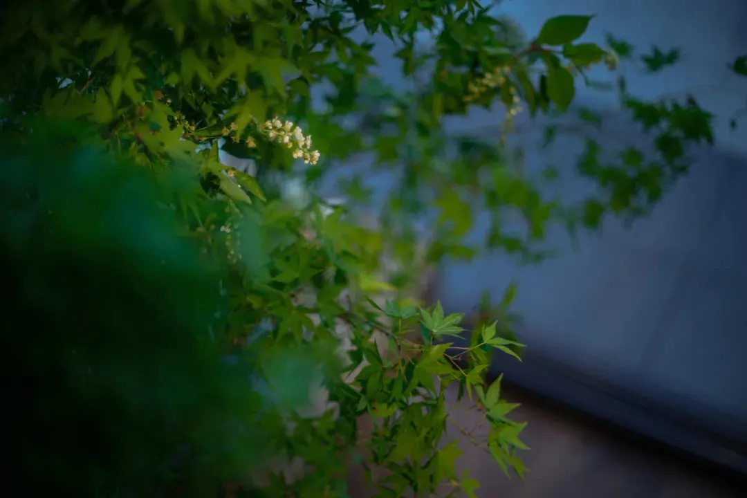 A serene residential scene with a house and lush greenery, featuring wood and metal materials, under natural daylight