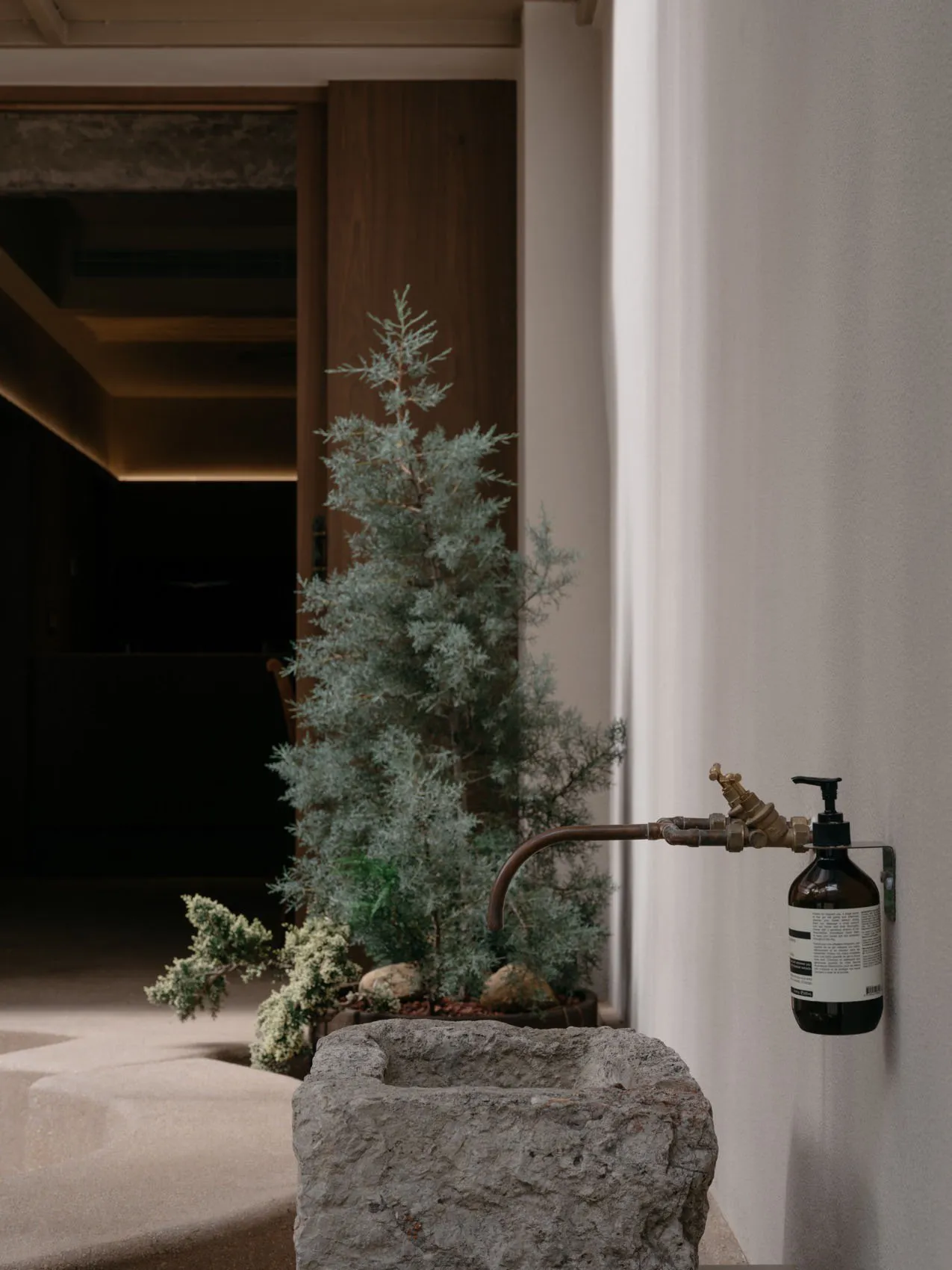 Cozy living space with potted plants, a bottle, and a warm atmosphere