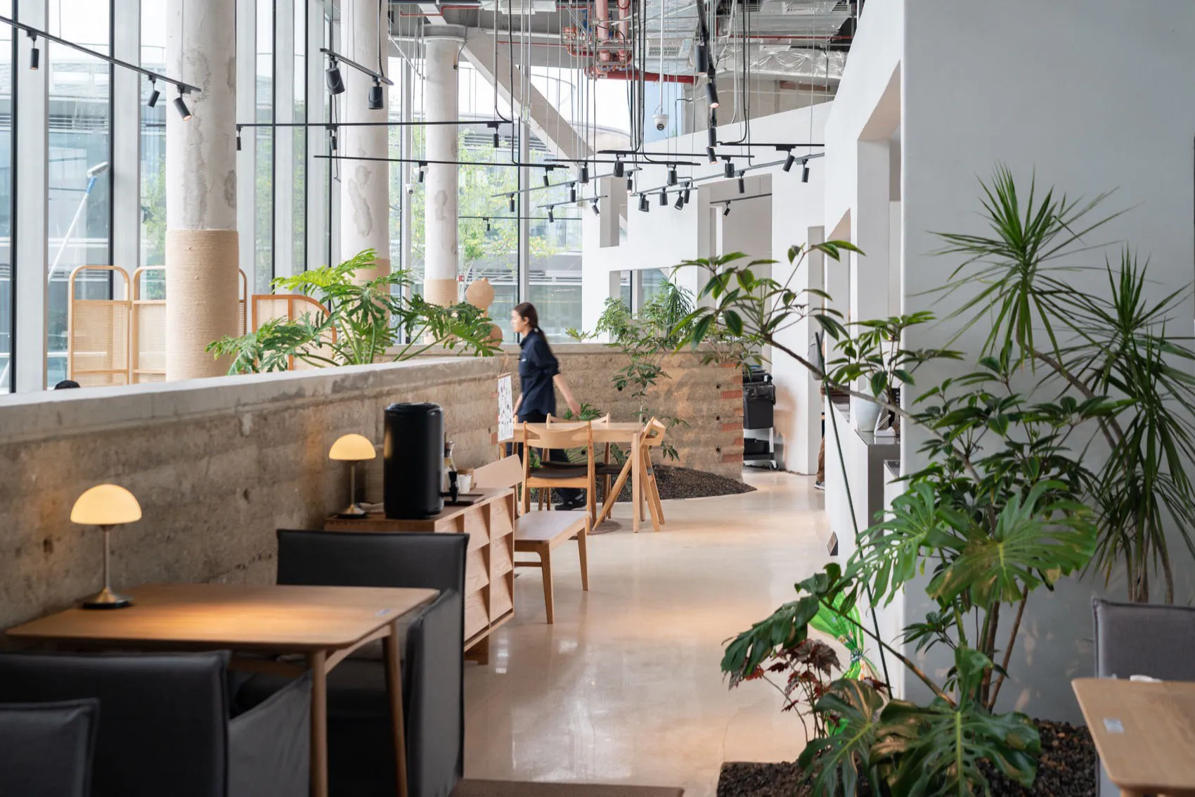 Inviting open space with high ceilings, multiple plants, potted trees, and comfortable seating areas