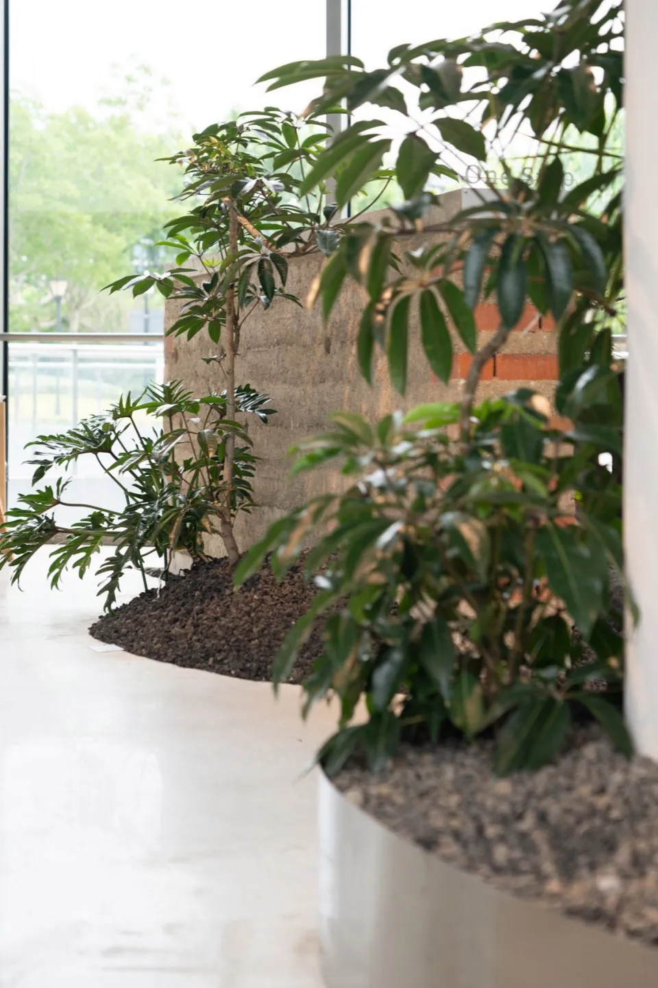 A lush interior space with multiple potted plants in various sizes and positions, creating a natural and inviting atmosphere