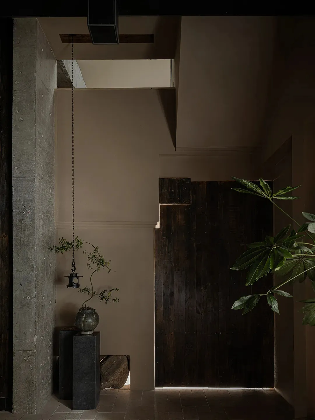 A calm and inviting hallway with a wooden door, potted plant, vases, and a bowl, surrounded by walls and a floor