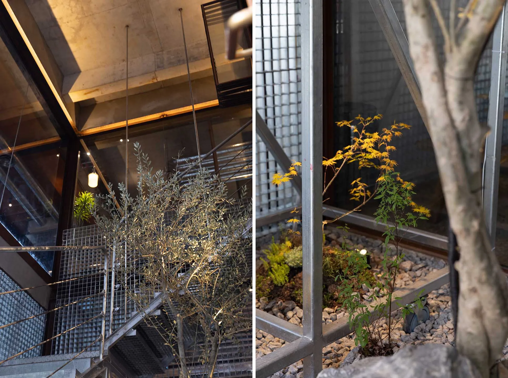 Modern interior space with a staircase, metal railing, and potted plants on a window sill and floor
