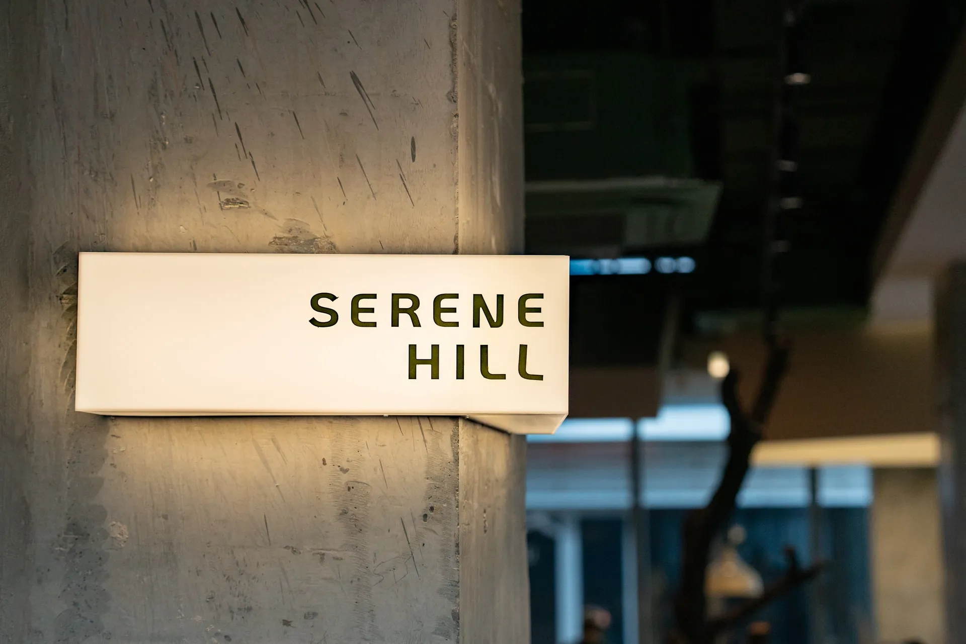 昏暗燈光下的室內空間，牆上有寫著Seren Hill的現代招牌
