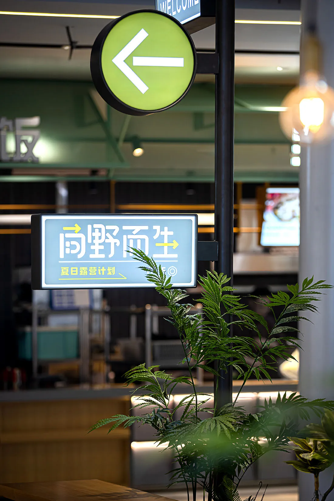 A well-lit Asian restaurant with a green sign featuring Chinese characters, surrounded by potted plants and two TVs on the wall