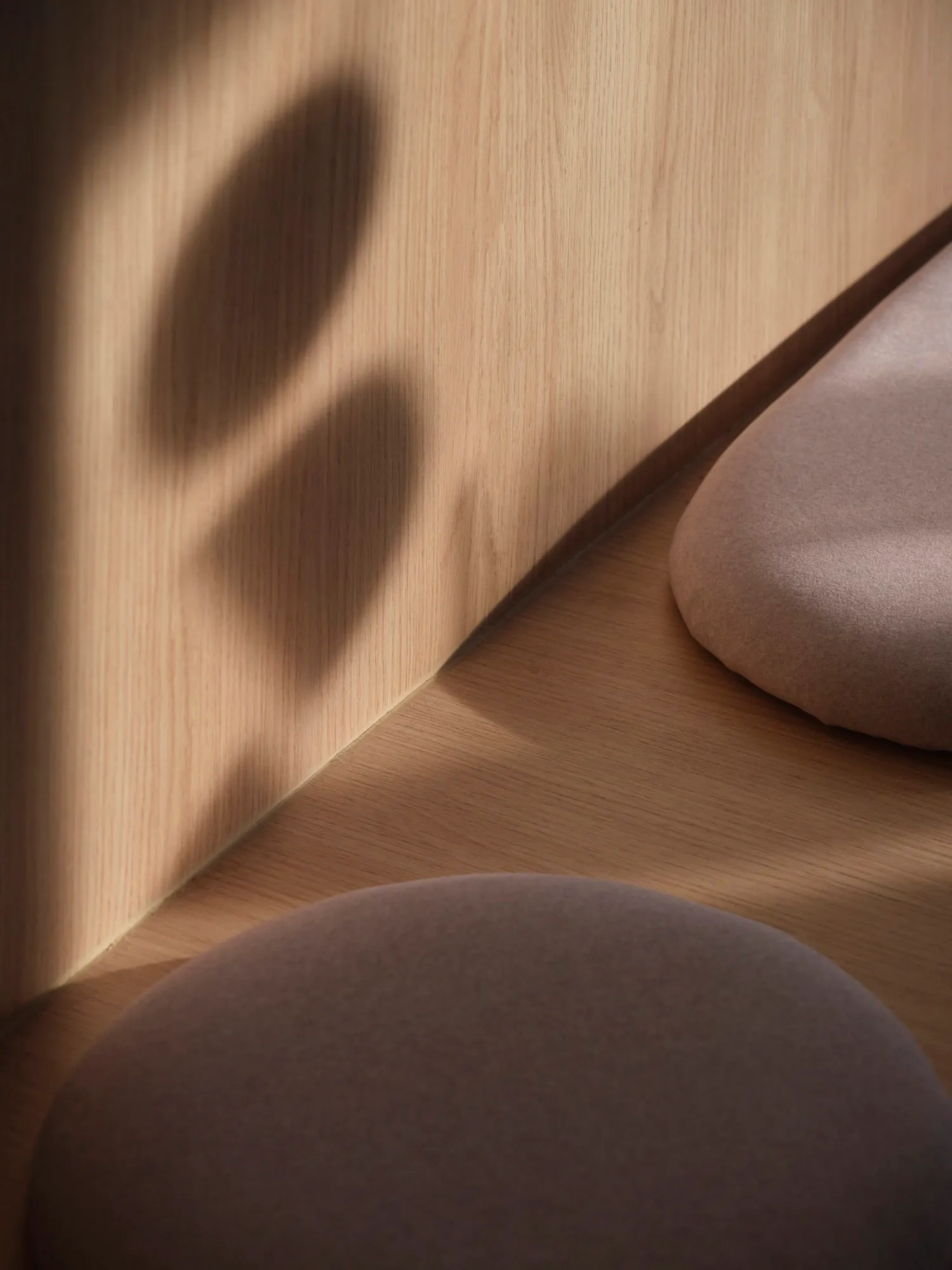 A cozy room with a wooden floor, two cushions, and a warm atmosphere