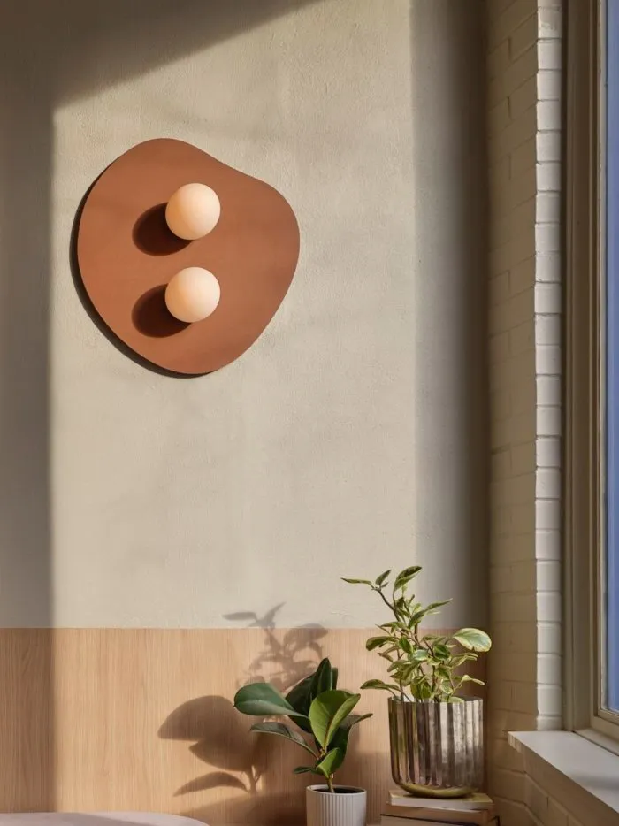 A casual interior space with a decorative wall featuring two round objects resembling breasts, surrounded by potted plants and a vase, on a wooden surface