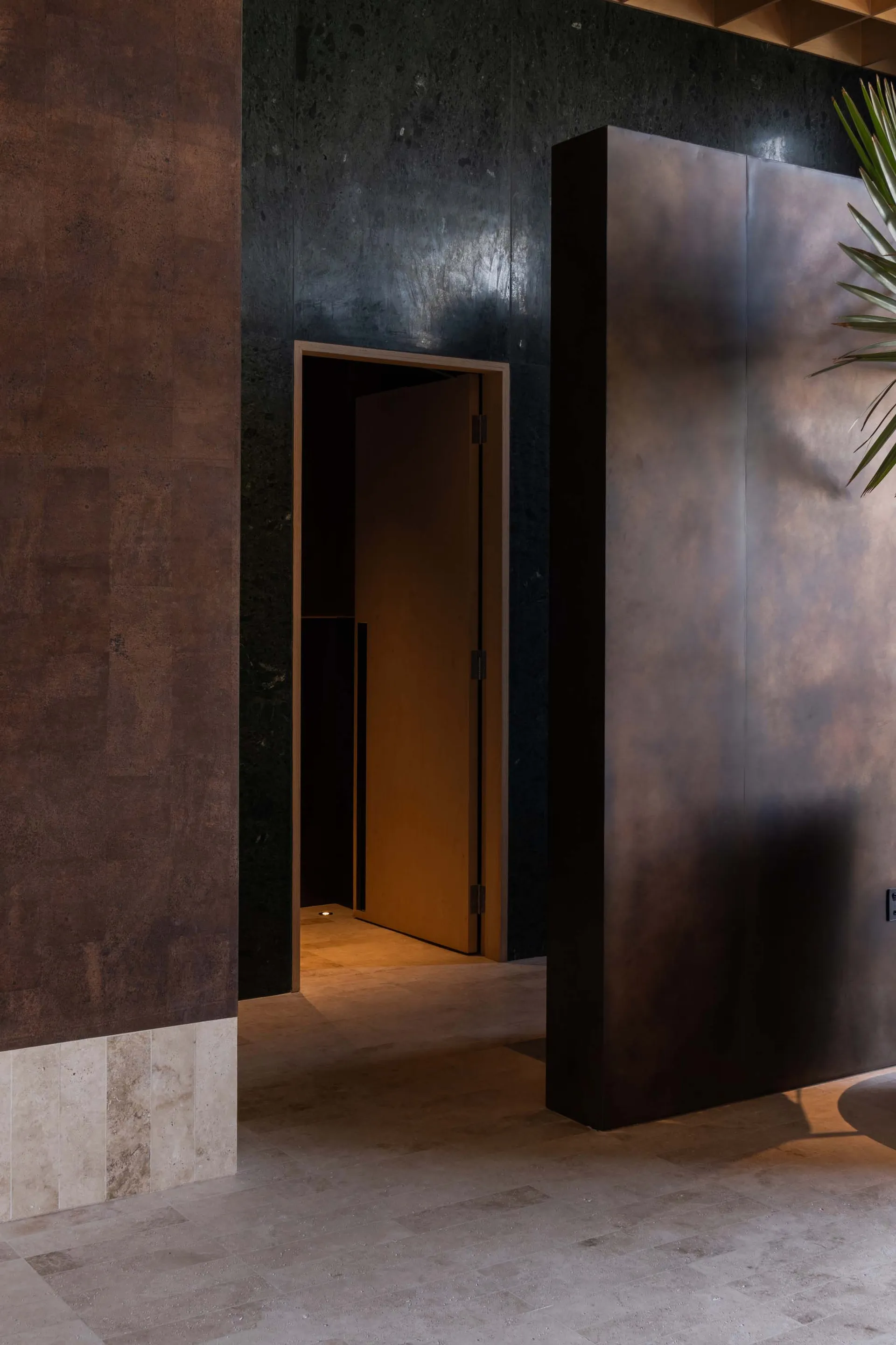 Black and brown hallway with two potted plants and a vase, adding decorative elements and greenery