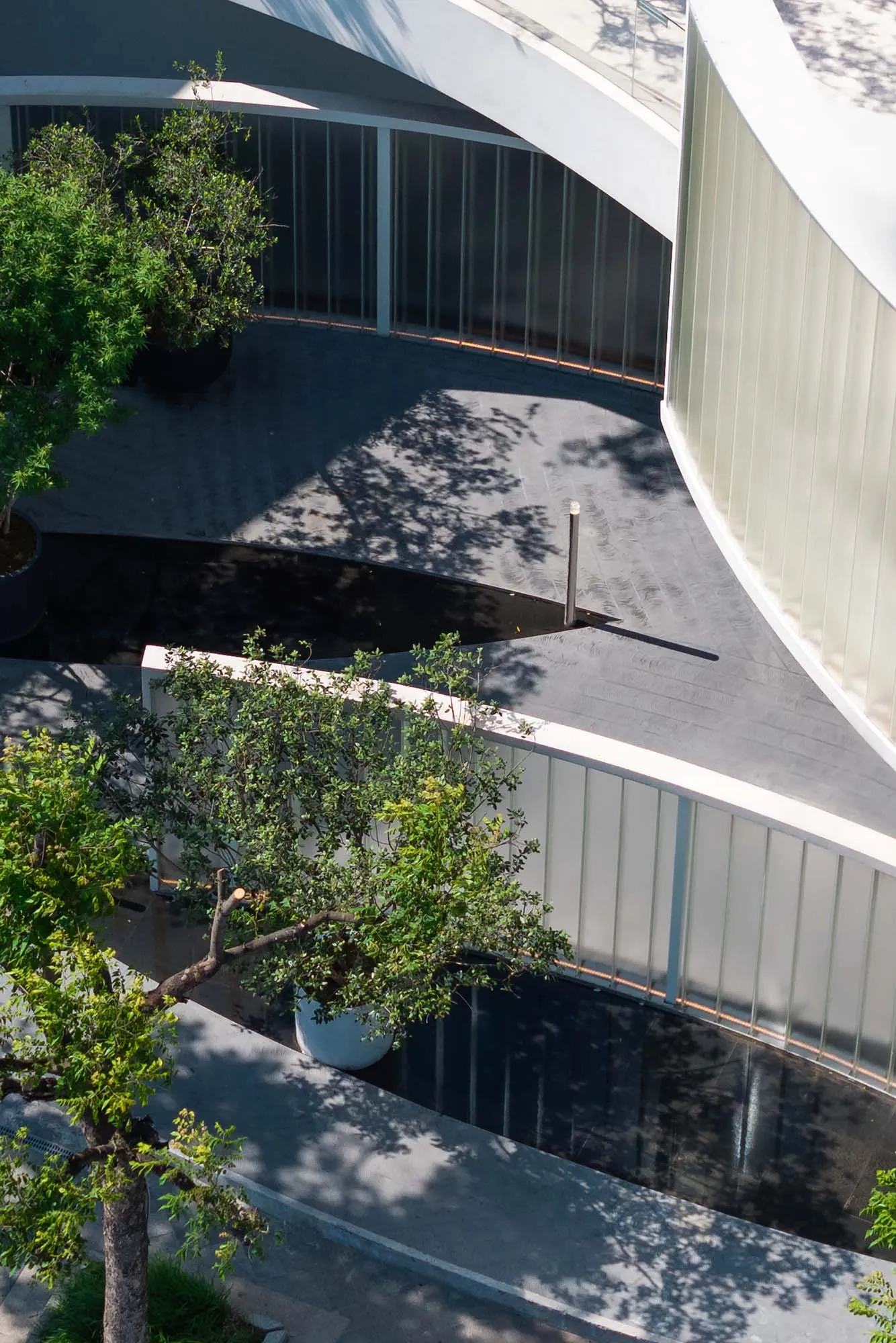 現代室內空間，白色曲線建築環繞樹木，點綴盆栽植物，展現當代氛圍