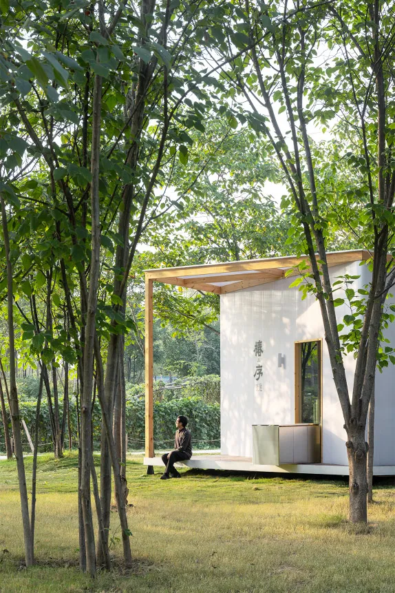 Serene Asian-style house interior with wooden walls and floors, featuring a mix of traditional and modern design elements, surrounded by trees