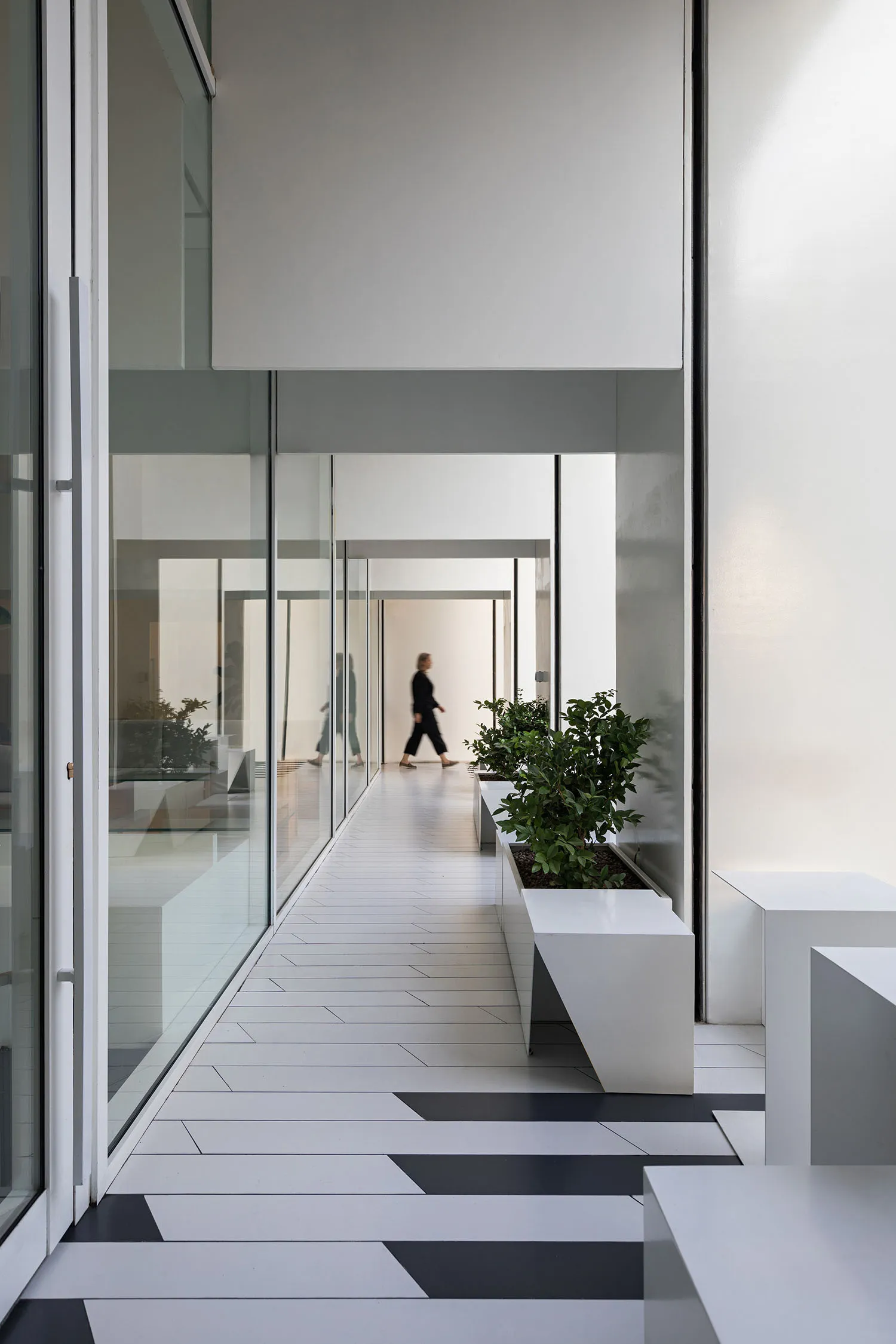 A calm and inviting lobby with glass doors, potted plants, and two benches