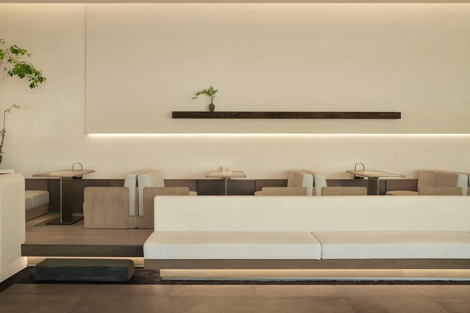 An empty restaurant interior with white walls, tables, chairs, and a potted plant in the center, creating a clean and inviting atmosphere
