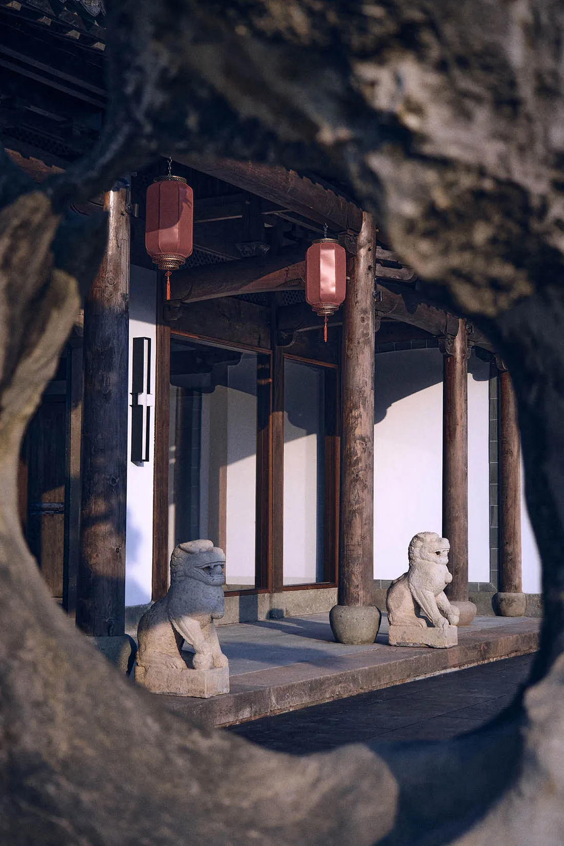 A serene Asian-style building with a white exterior, lion statues, and potted plants in a symmetrical arrangement