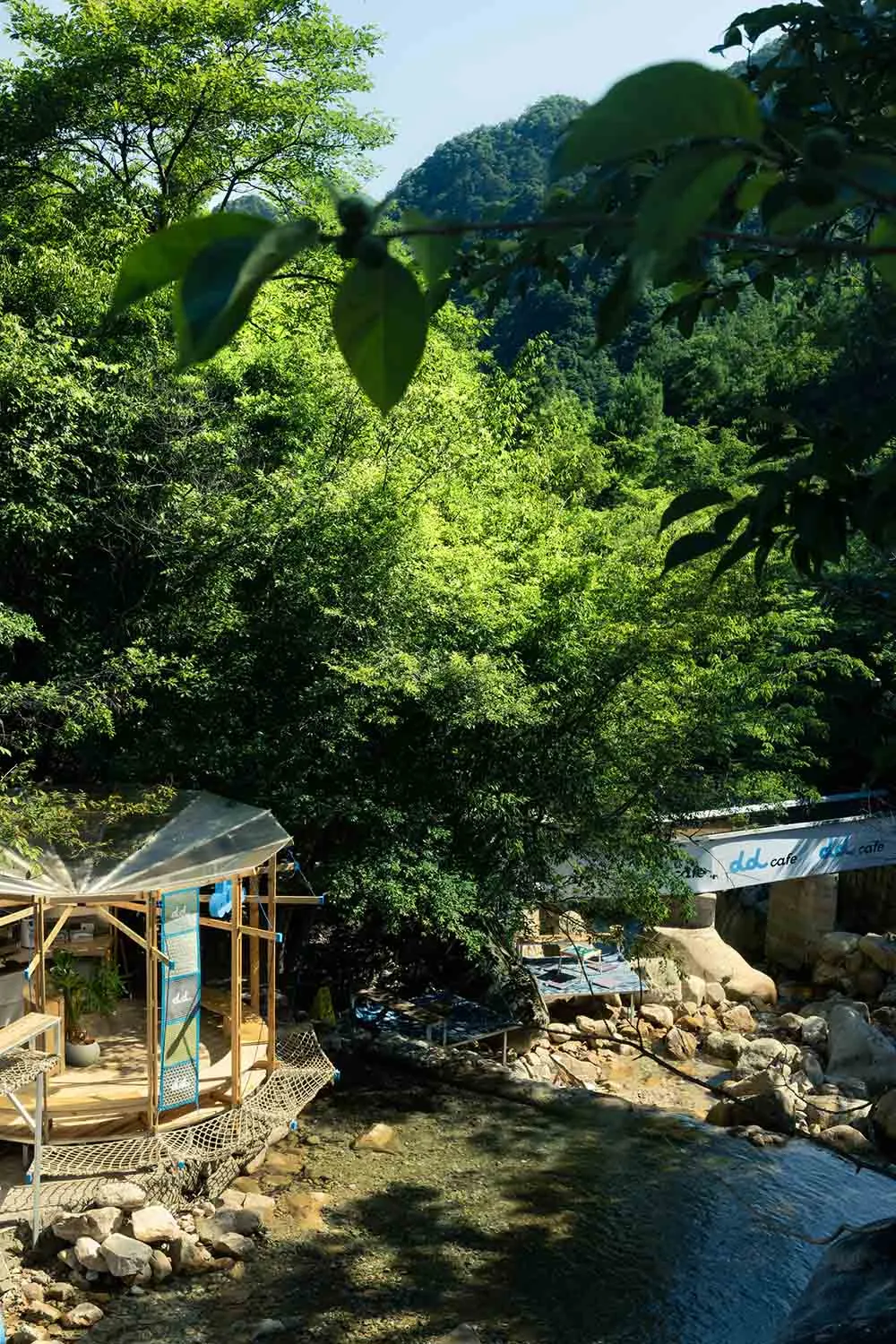 一座被樹木與水環繞的木造建築，搭配盆栽植物，營造寧靜氛圍