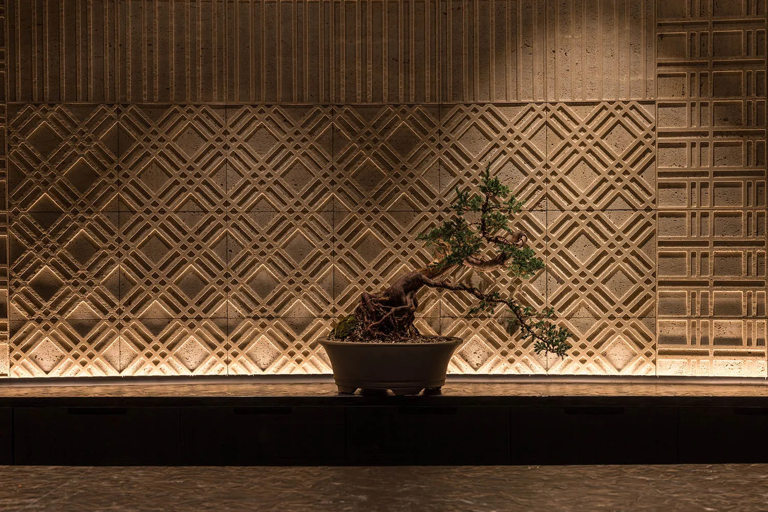 A small bonsai tree in a pot sits on a table, surrounded by a calm and serene atmosphere, with a patterned wall in the background