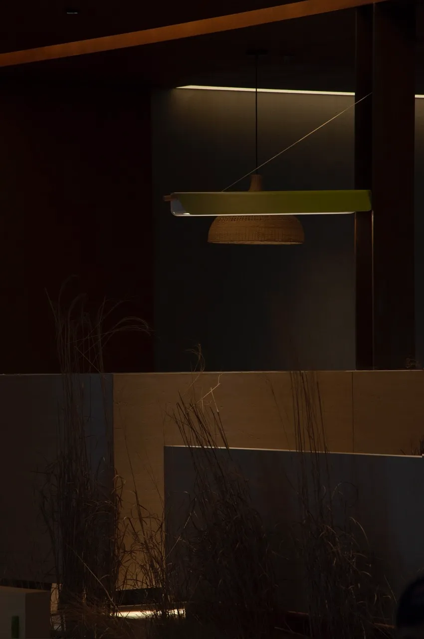 A darkened room with a greenish-lit hanging lamp, plants, and a cozy atmosphere