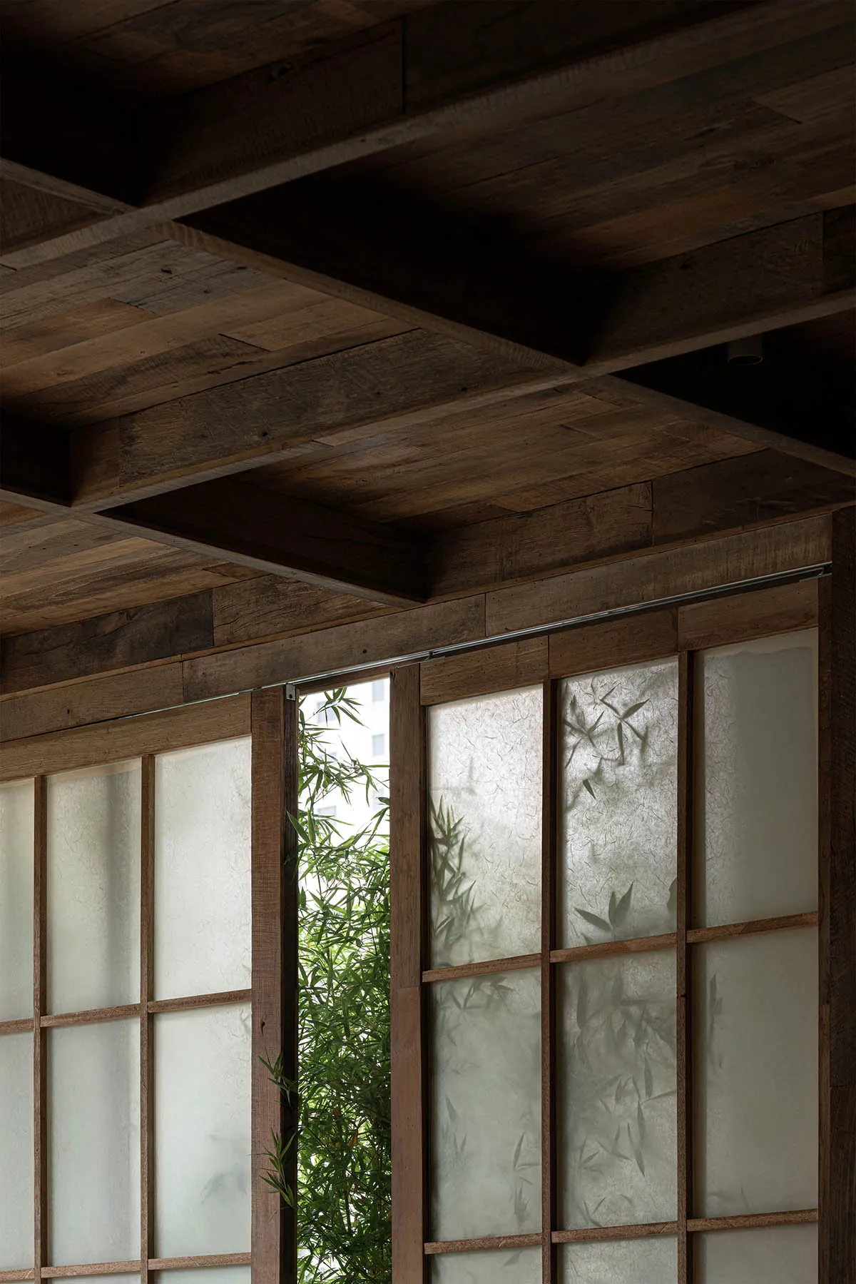 Warm and inviting room with wooden walls, ceiling beams, and a bamboo plant growing through a window