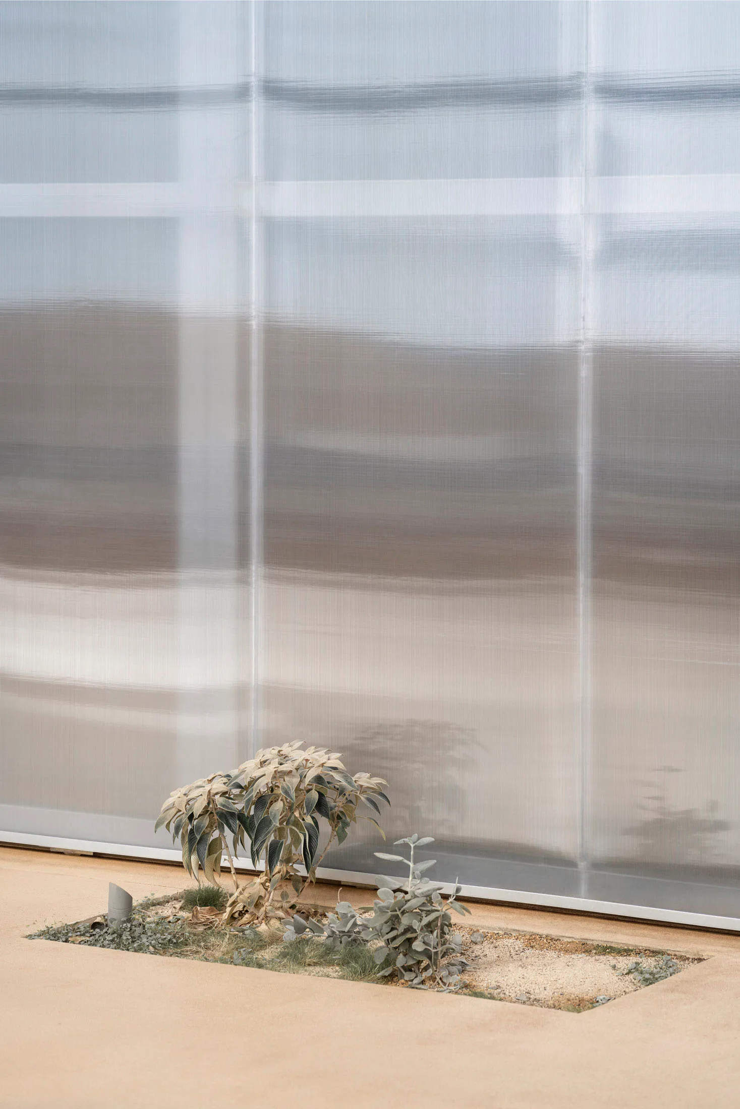 Modern indoor space with a large metal wall, two small potted plants, and a minimalist atmosphere