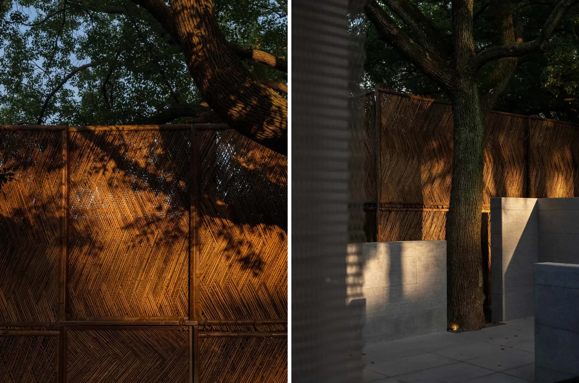 現代建築的平面圖，乾淨線條、極簡設計，並有窗戶引入自然光線