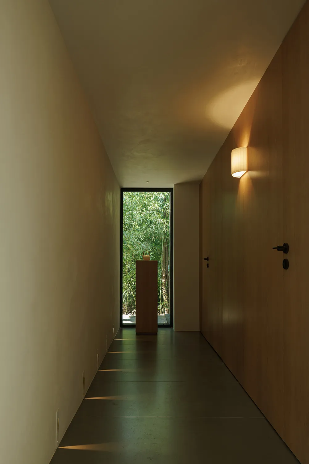 Narrow interior hallway with a wooden door and a glass door, painted white walls, and a focus on functionality