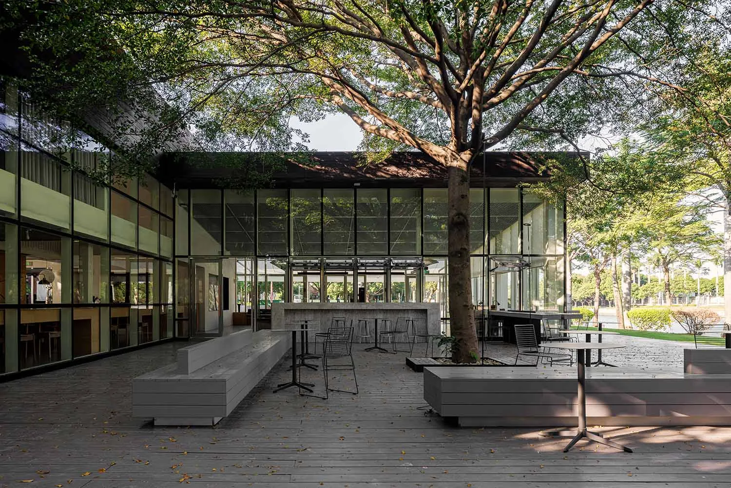 A serene outdoor space with a large tree, benches, chairs, and dining tables, perfect for social gatherings or events