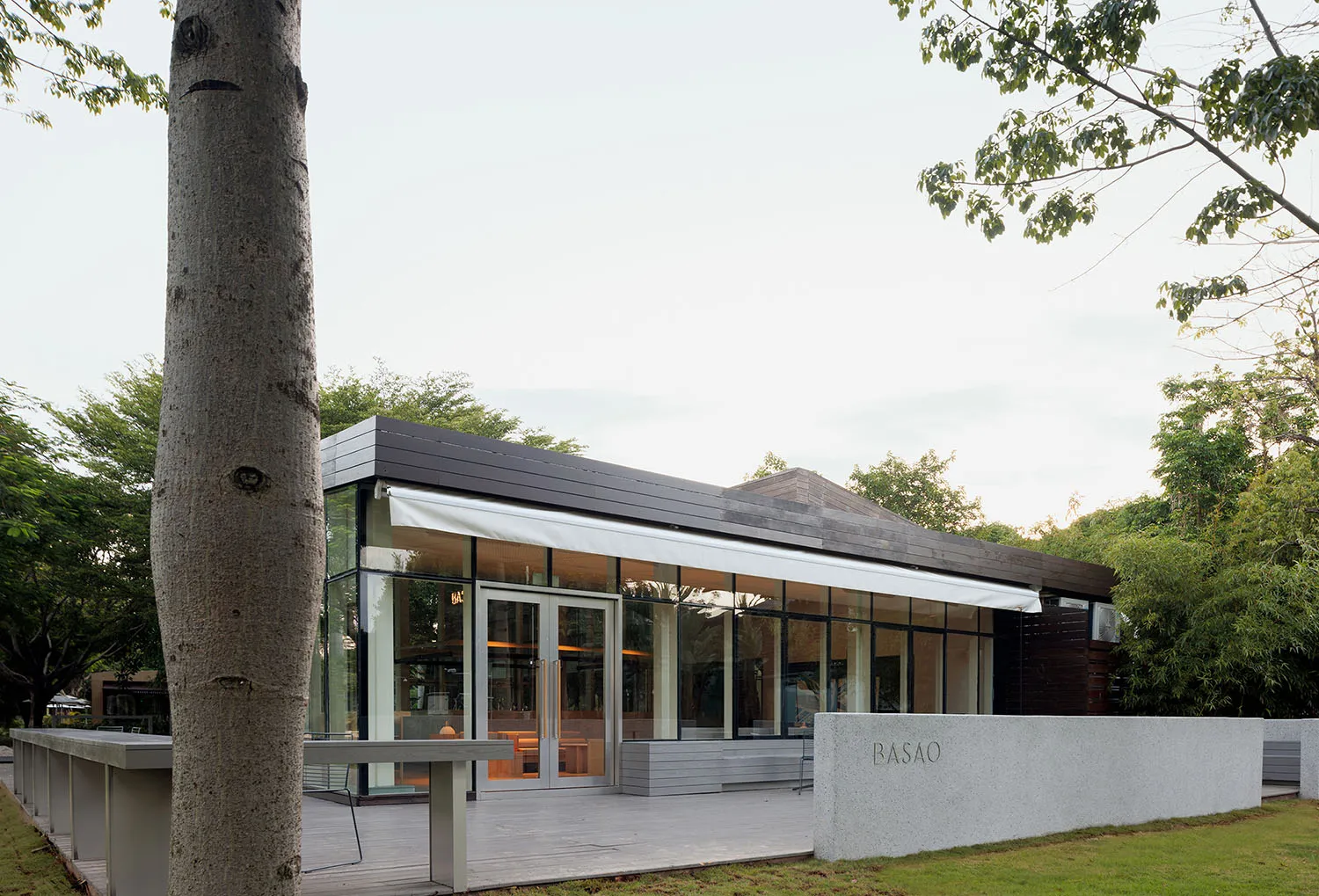A modern indoor space with a large window surrounded by trees, featuring clean lines and minimalistic design elements, with glass and wood visible through the window, and natural light from sunlight filtering through the trees