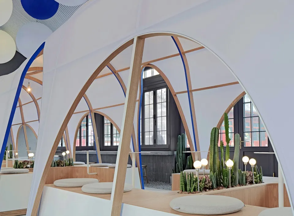 Modern cafe with a white dome structure, wooden accents, potted plants, and cacti, creating a clean and inviting atmosphere for seating and socializing