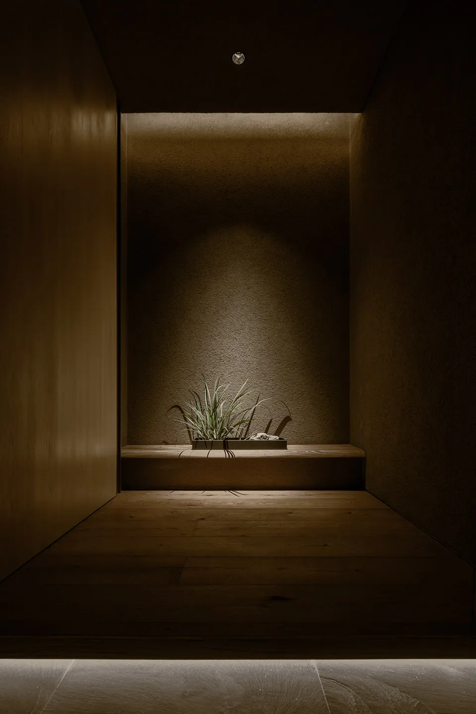 A dimly lit indoor space with a wooden bench, two potted plants, and a doorway