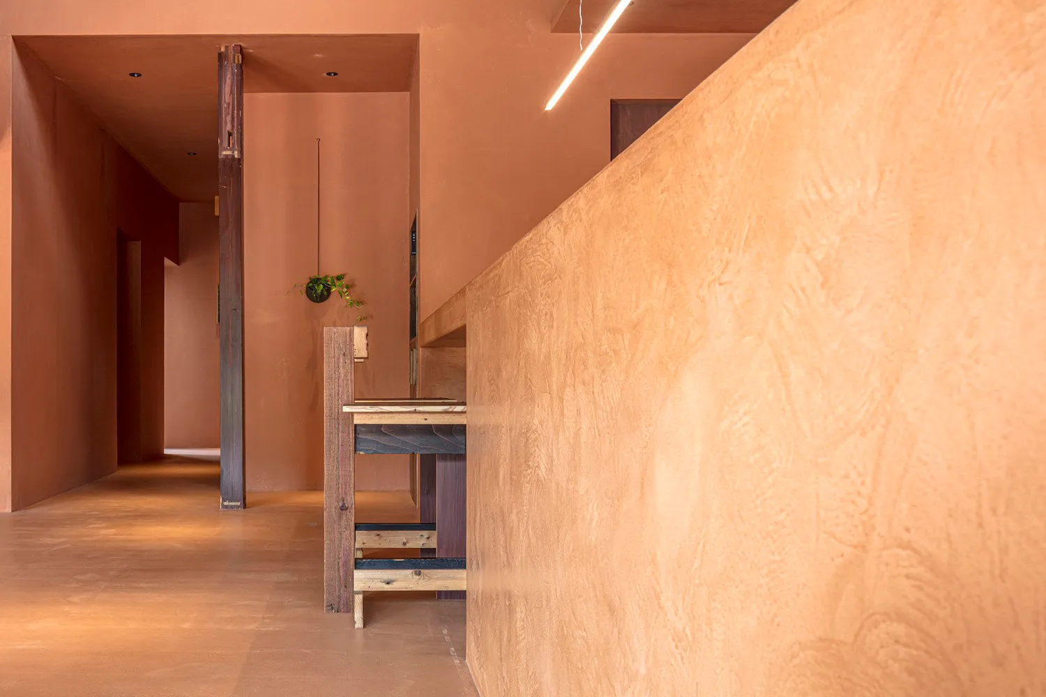 A warm hallway with brown walls, two potted plants, and a residential or commercial setting
