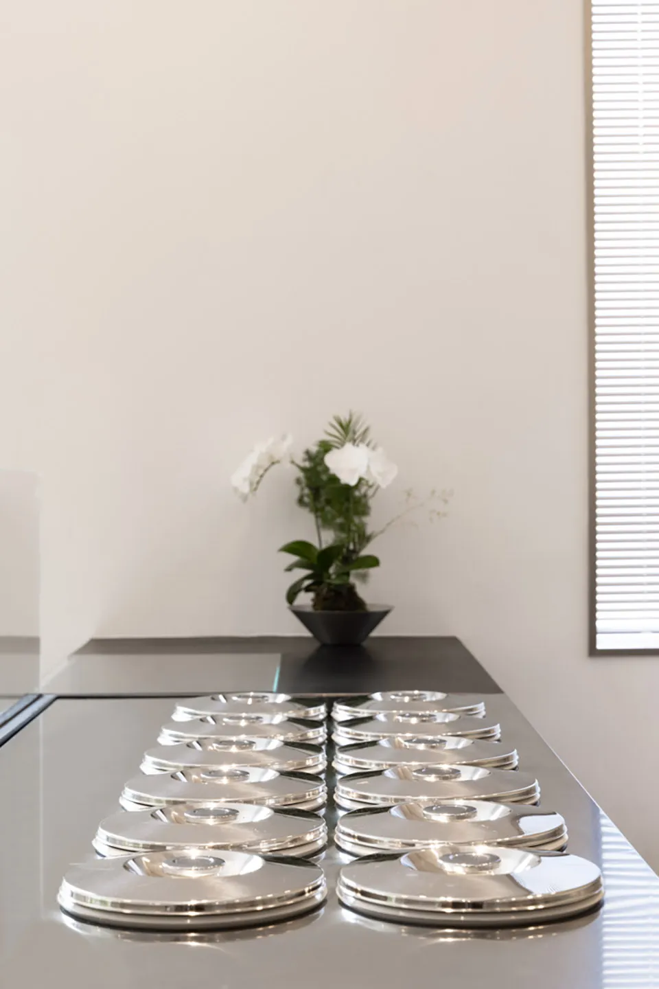 An empty kitchen with a countertop featuring a row of silver bowls and several potted plants, conveying a clean and organized atmosphere