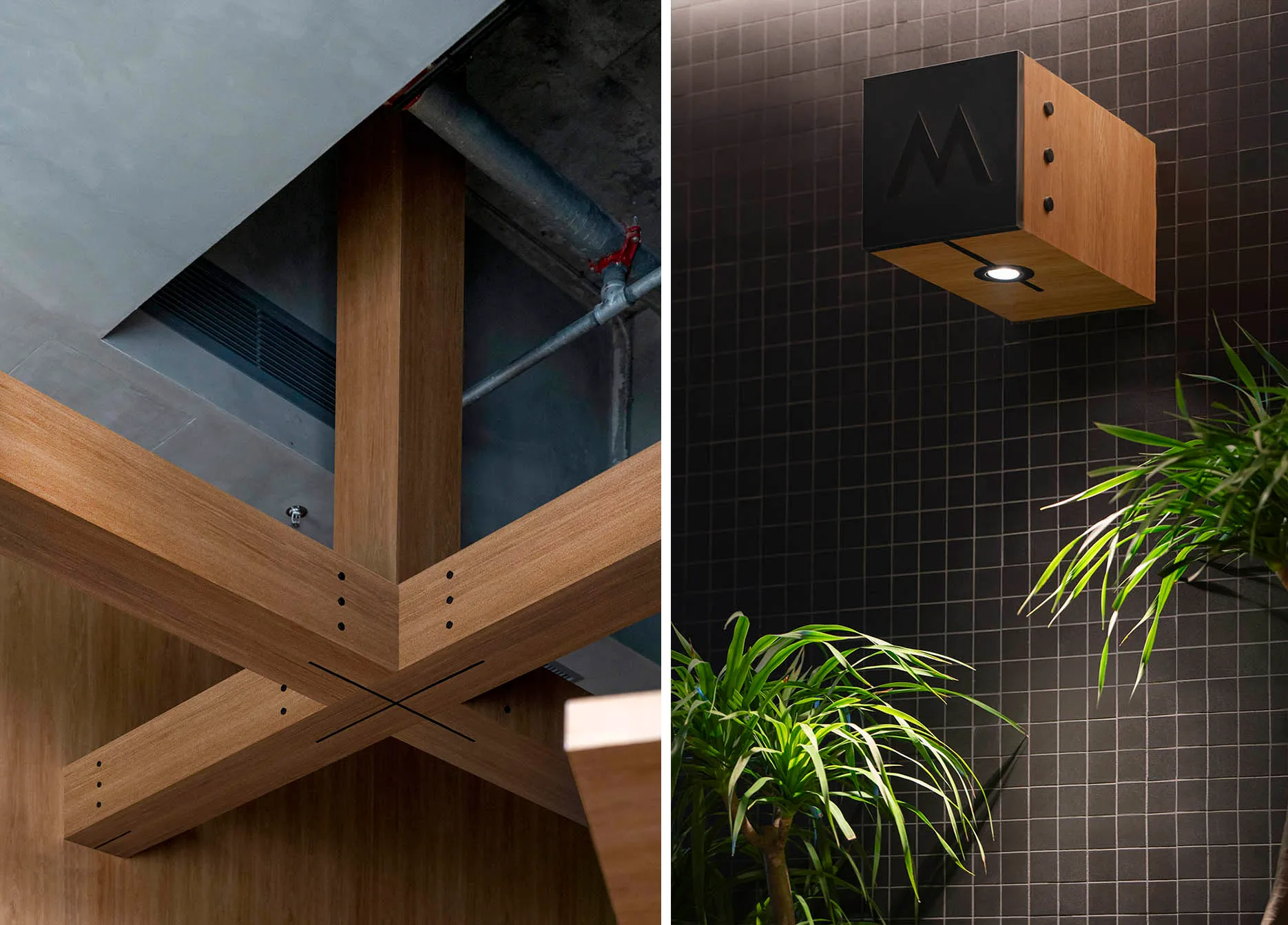 A wooden ceiling design with a plant in front, lit from above