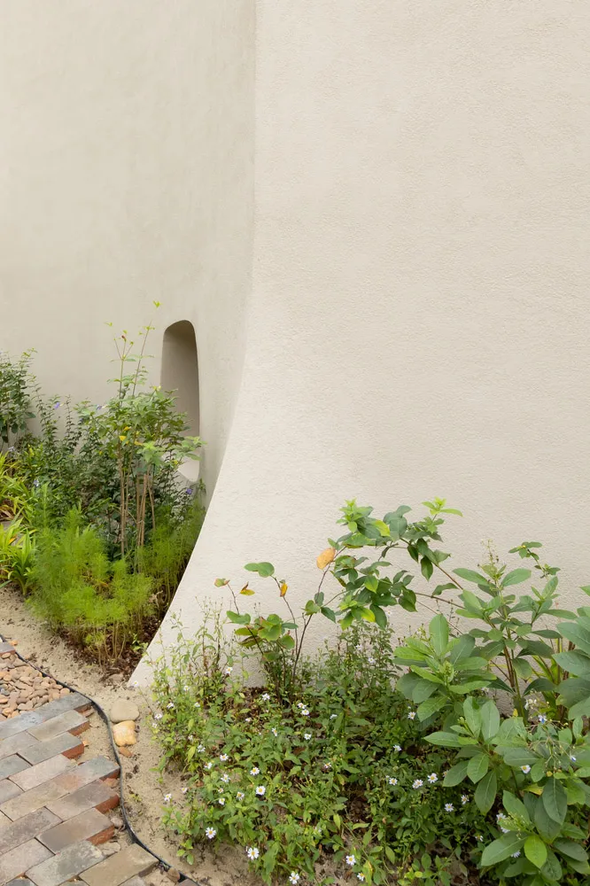 A modern building with a curved concrete wall surrounded by plants, blending architecture and nature