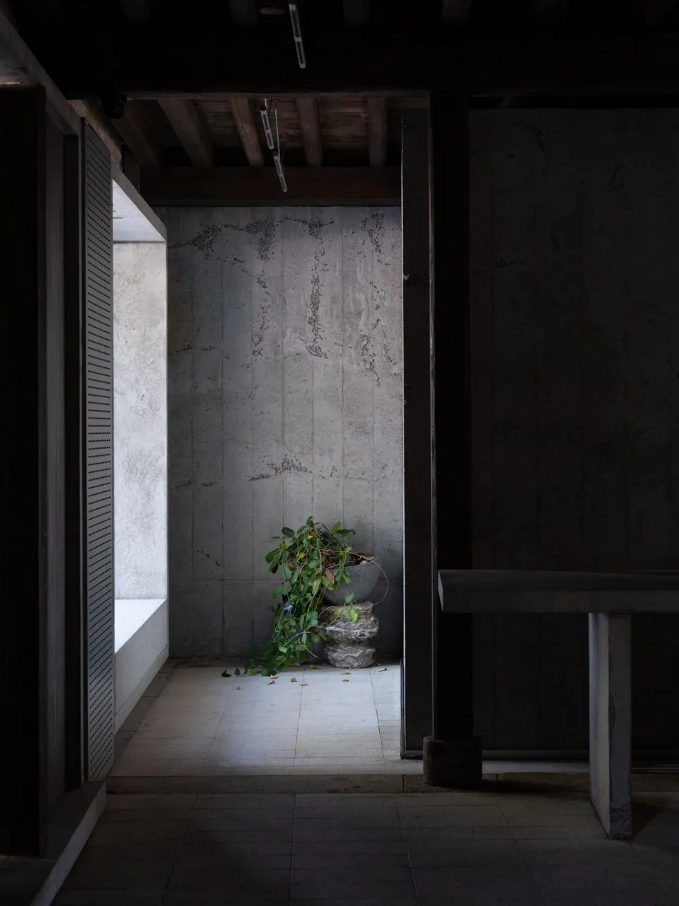 A serene interior space with a concrete wall, a plant in a white vase on a table, and two benches in a calm and inviting atmosphere