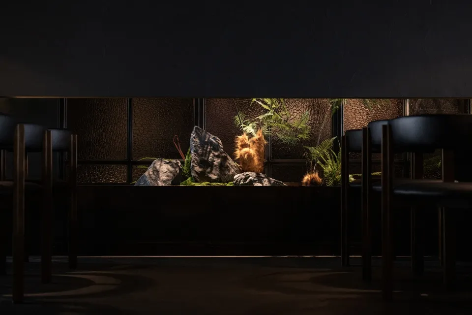 A well-lit aquarium in a darkened room features a variety of fish swimming around, each displaying different sizes and positions