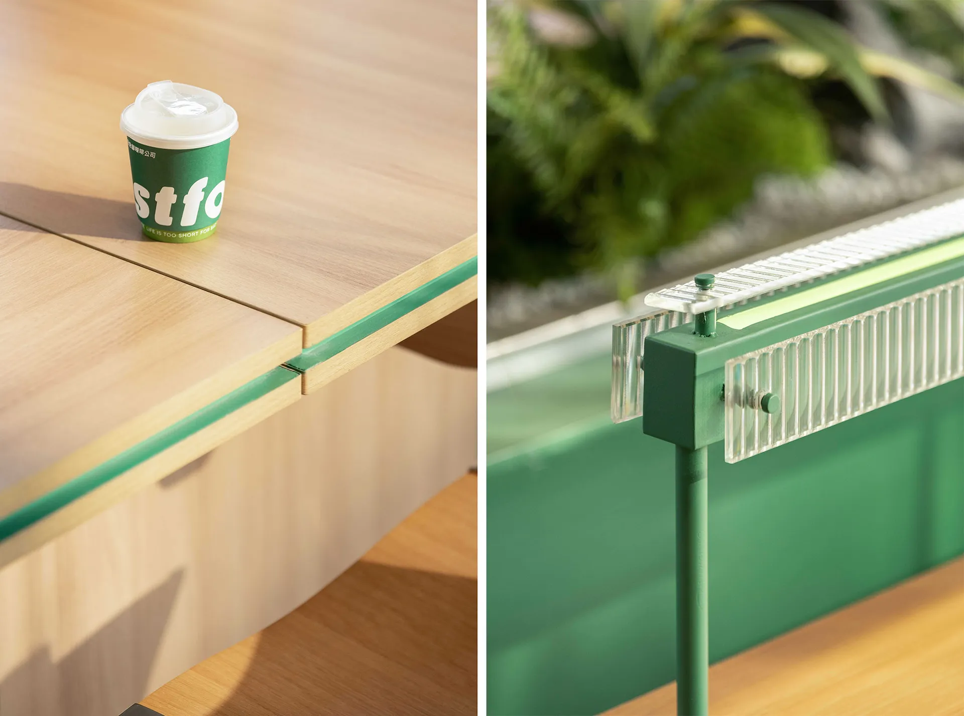 An office workspace with two desks, one green and one wooden, each with a cup and potted plants, creating an organized and inviting atmosphere