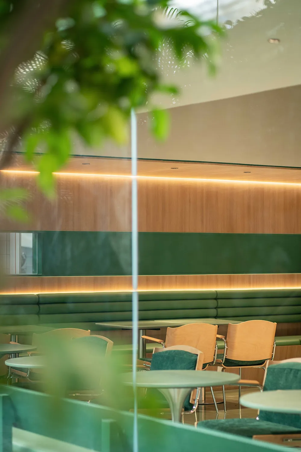 Cozy restaurant interior with green walls, wooden floors, and potted plants, featuring multiple tables and chairs in a modern setting