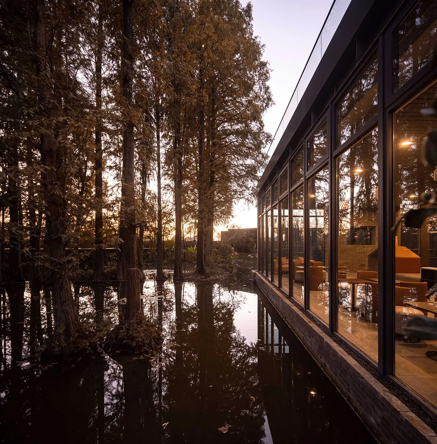 A modern building with a large glass wall and a serene surrounding environment, featuring a mix of landscaped garden and water feature