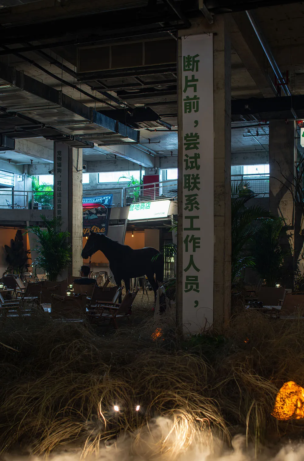 A casual indoor space with a horse in the center, surrounded by scattered chairs and two potted plants, creating a relaxed atmosphere for socializing