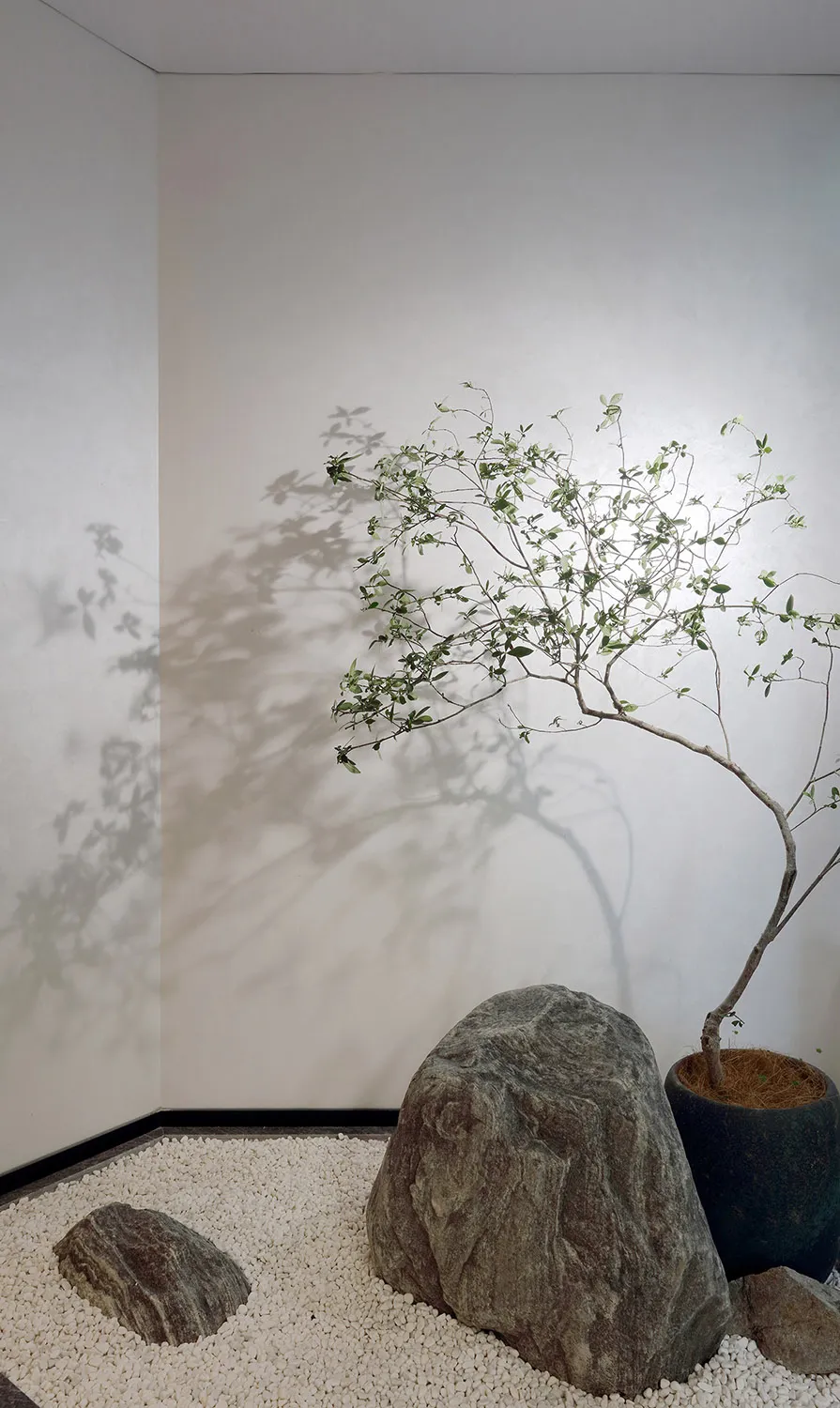 A small potted tree with green leaves sits on a rock in a cozy indoor space, adding a touch of nature to the interior design
