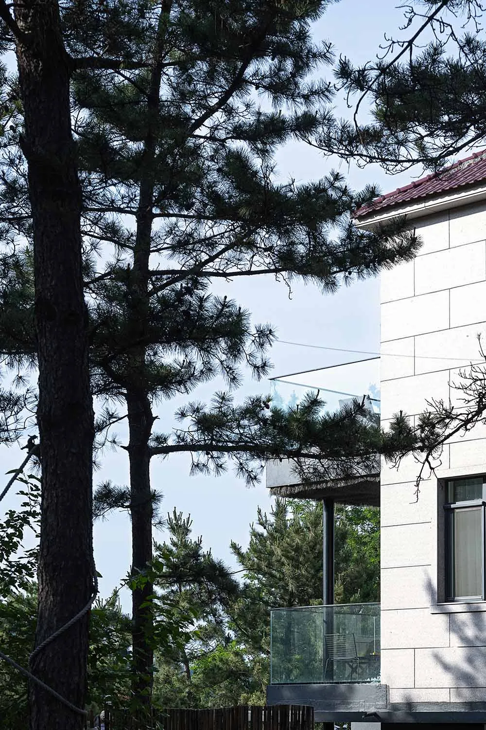 A modern house with a large glass wall and trees in front, conveying luxury and sophistication