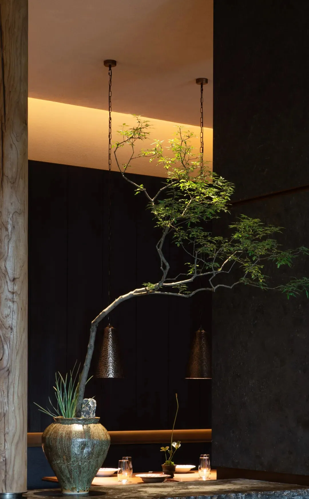 A calm indoor space with a bonsai tree on a table, lit by two hanging lights