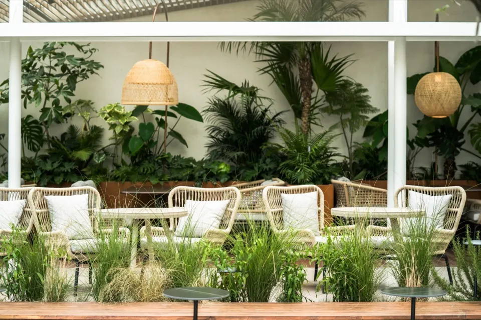 A relaxed indoor patio area with multiple dining tables, chairs, and potted plants, creating a comfortable seating space