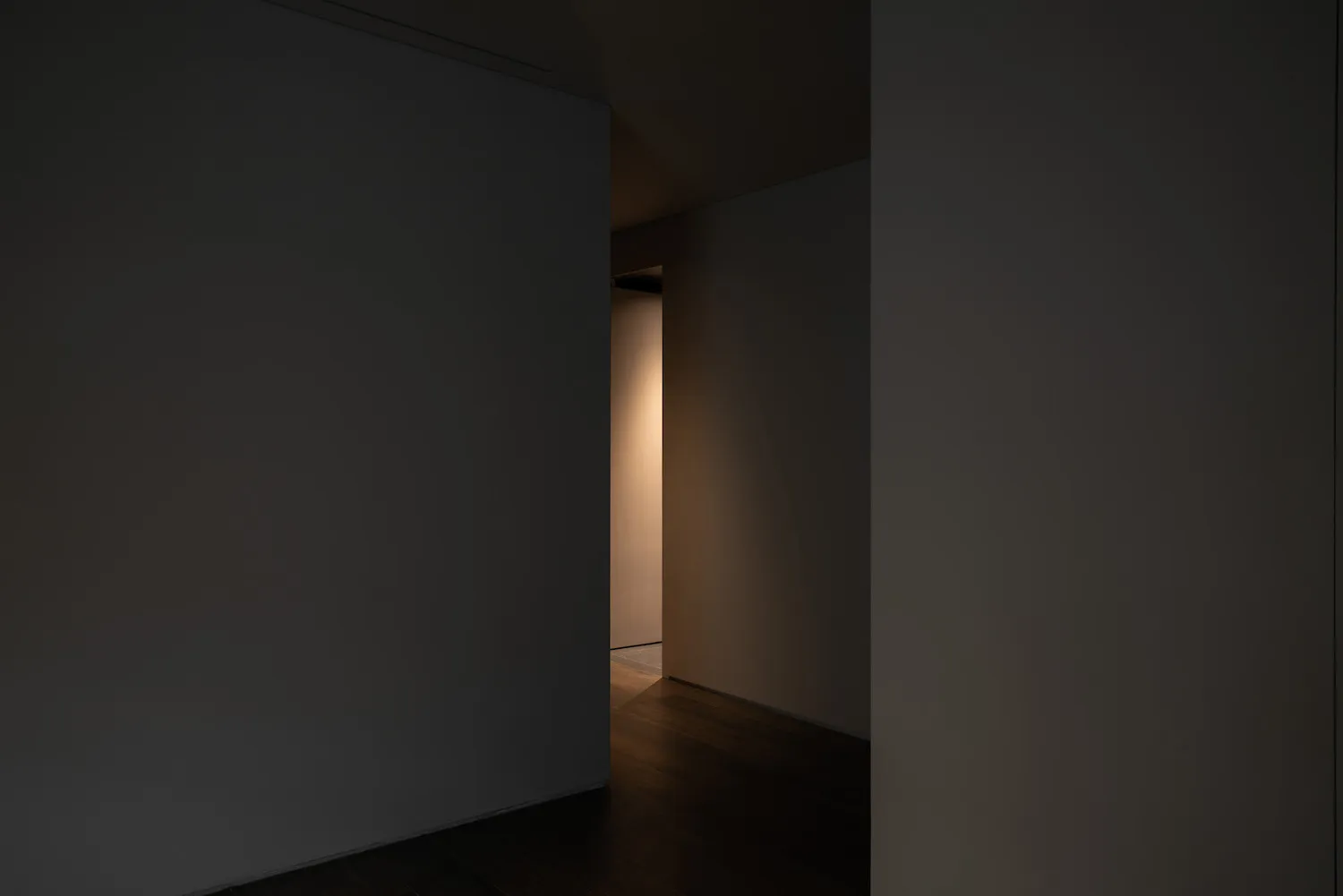 Empty dimly lit hallway with white walls and wooden floors