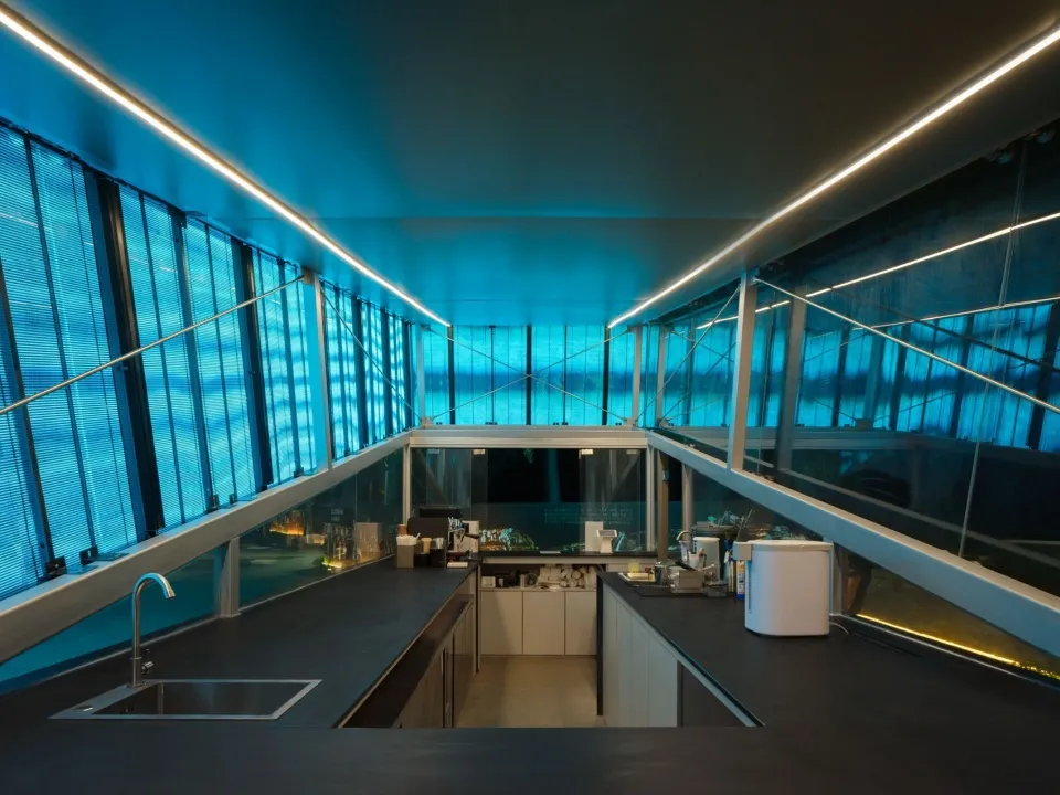 Modern kitchen with two sinks, large window, and various appliances, with cups and utensils placed around the area