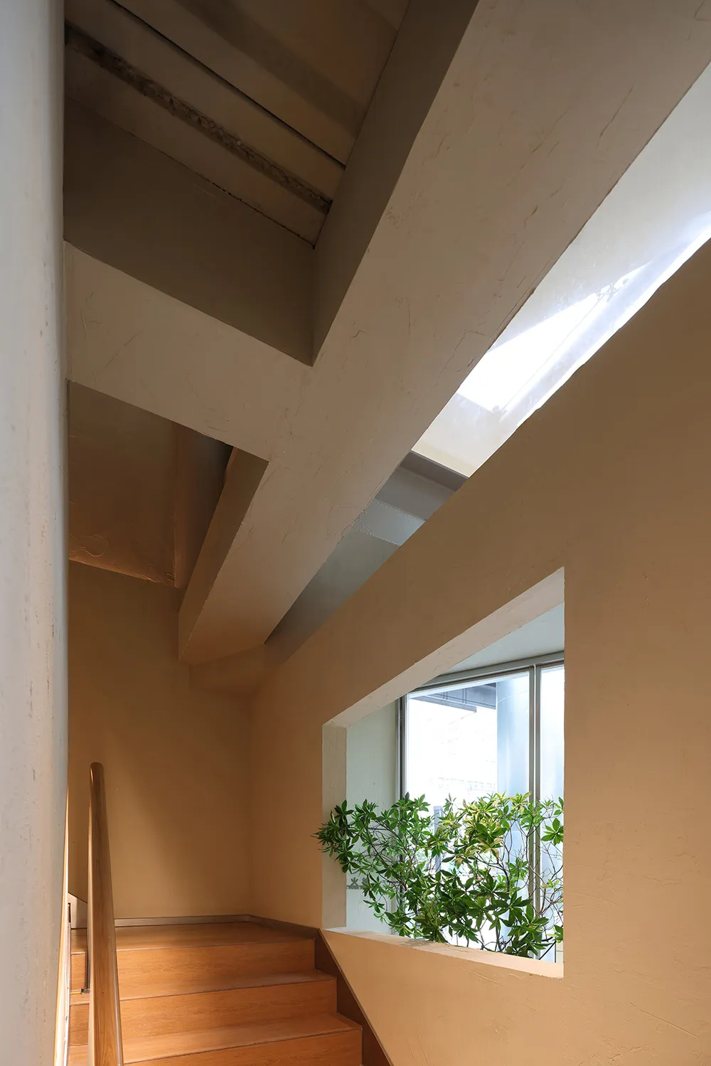 A well-lit room with white walls, a central potted plant, and a smaller plant near the right side, with sunlight entering through a window
