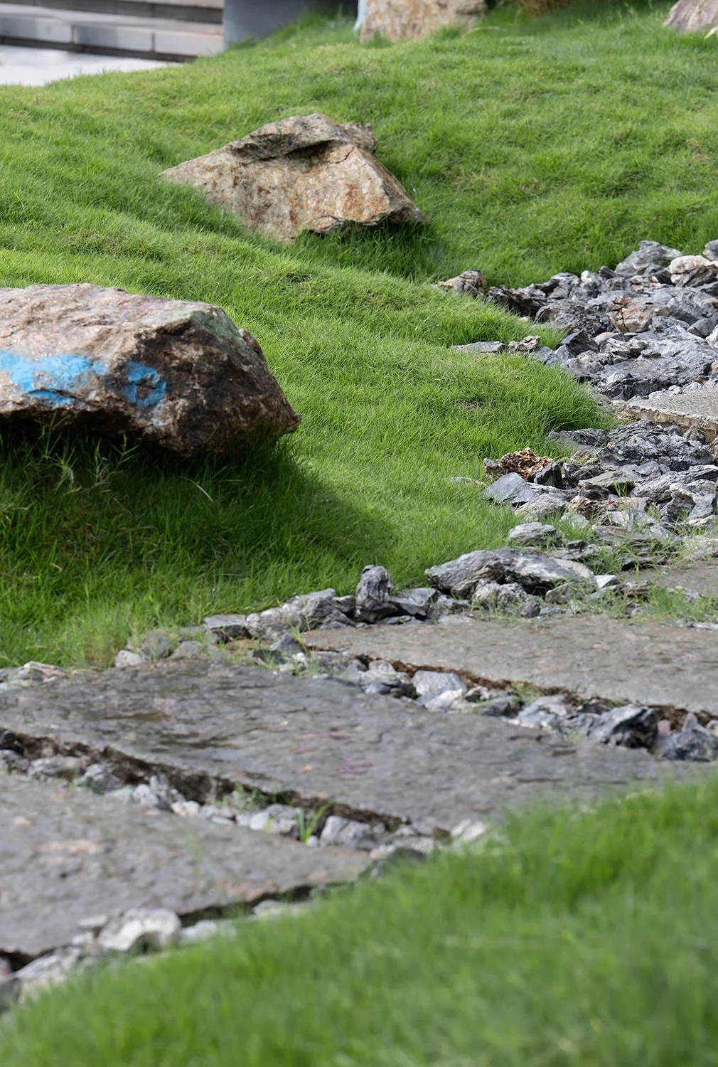 A serene outdoor area with a rocky pathway surrounded by grass and natural ambiance