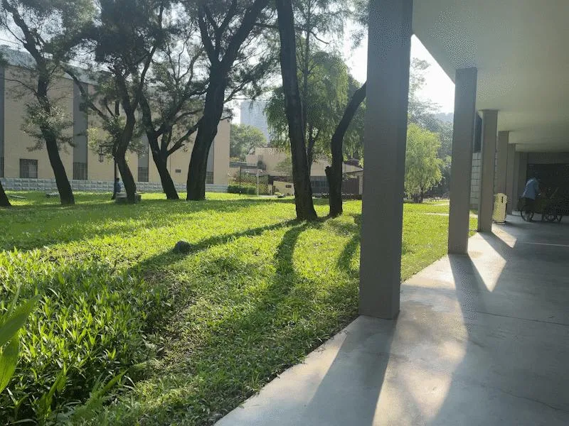 寧靜的戶外場景，人們在樹木環繞的草地上休憩，配有兩張長椅與悠閒氛圍